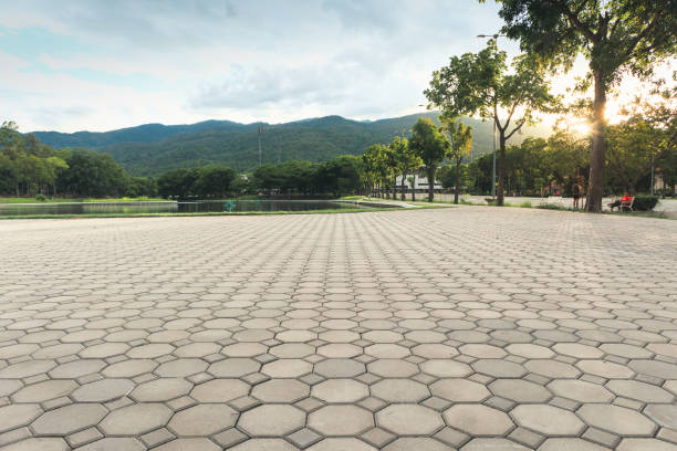 Best Commercial Driveway Pavers  in Liberty City, TX